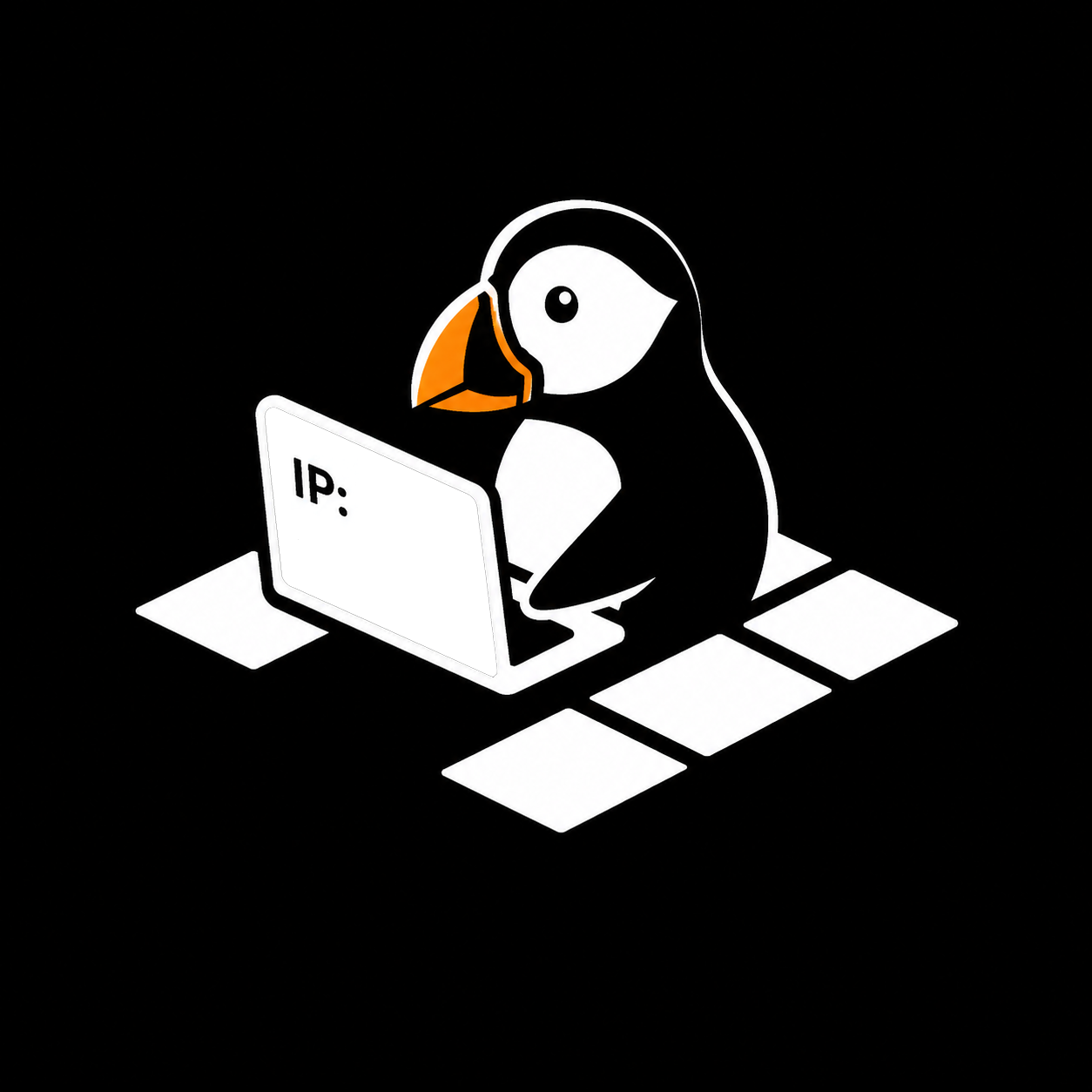 Puffin mascot working at a laptop that displays your IP address
